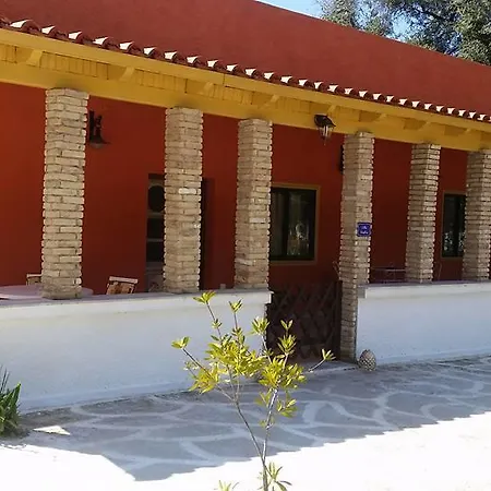 Feakia فيلة *